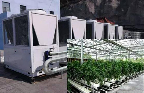 農業(yè)大棚采暖有新招，空氣源熱泵再獲佳話